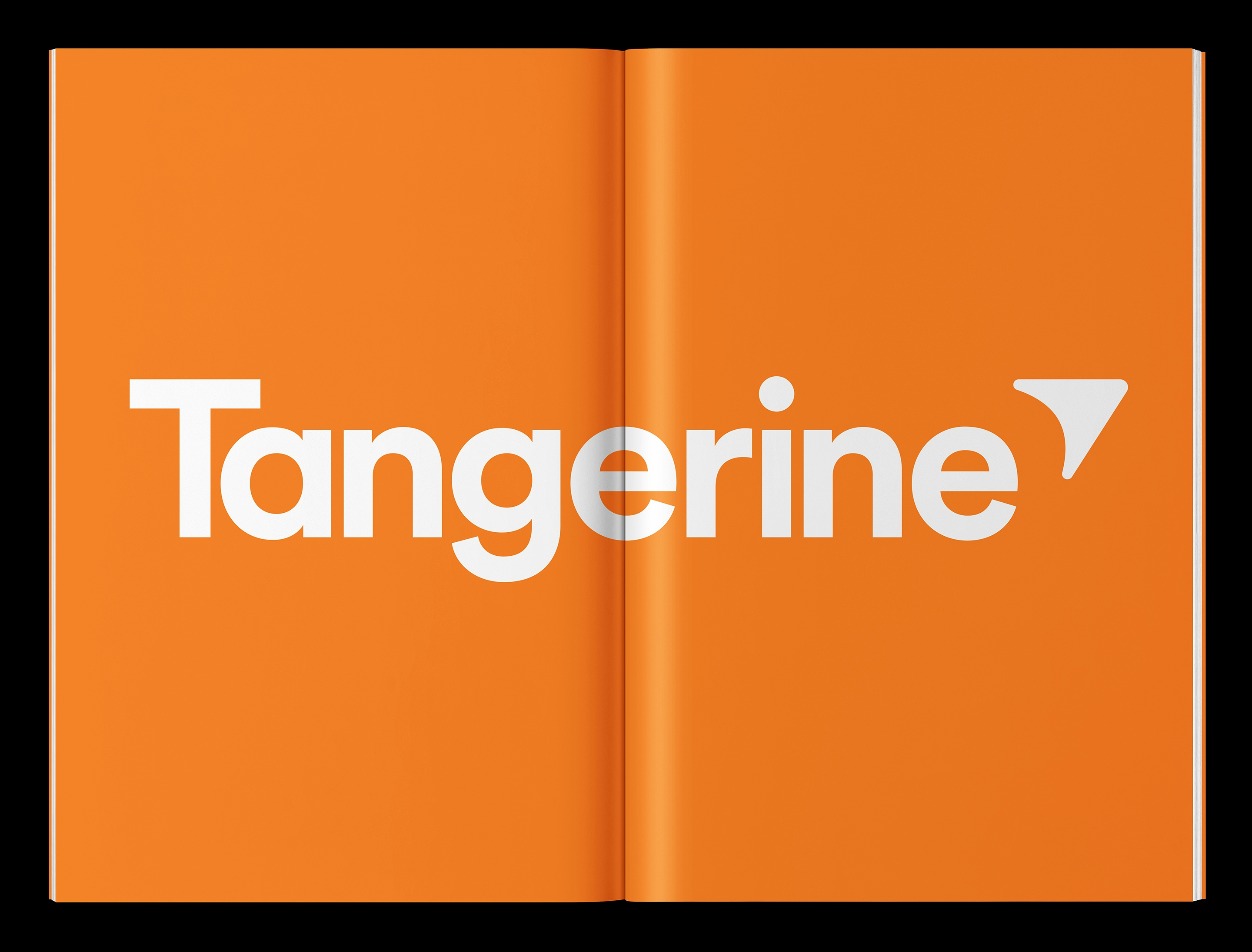Tangerine, Identity, with Concrete, 2014 (3/4)
